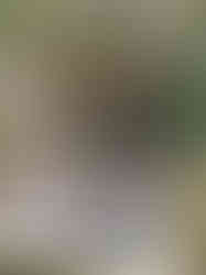 Tady je místo odpočinku velkého českého hereckého nestora Rudolfa Hrušínského