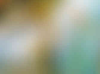 Kostel svatého Jakuba Většího ve Slavětíně patří k nejcennějším v České republice, co se týká vnitřní freskové výmalby (reprodukce)