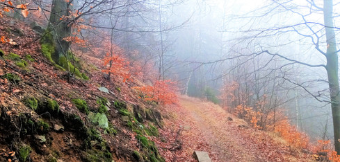 Na naučné stezce Po stopách starých horníků ve střední Krupce