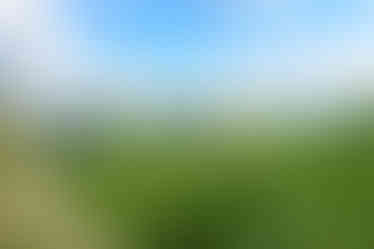 Panorama Českého Středohoří z Oltáříku