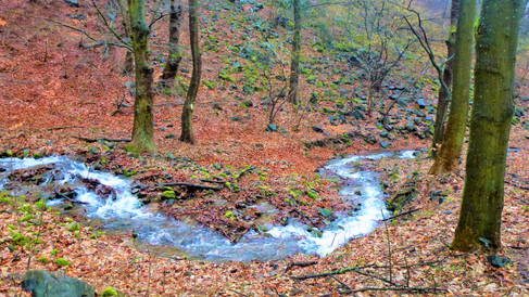 Jak malý hádek se klikatí zpeřená hladina Unčínského potoka při cestě z Fojtovické pláně
