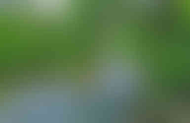 Řeka Bílina protéká kolem Královského pramene ve Stadicích