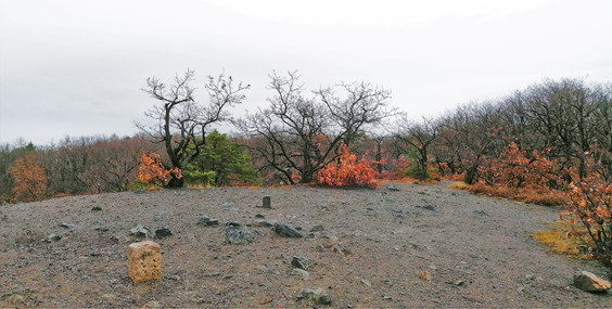 Vrcholová partie Nebušické vyhlídky