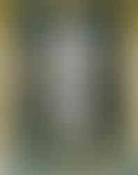 Jeden z nejmalebnějších vyšehradských náhrobků patří rodině Beaufortově