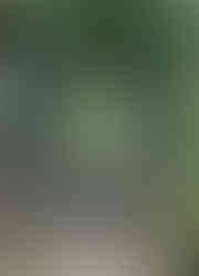 Náhrobek herce Luďka Kopřivy na vyšehradském hřbitově je vyveden v secesním stylu