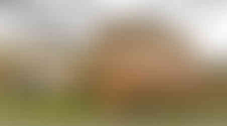 Chodovská tvrz je nejcennější stavební památkou pražského Jižního Města