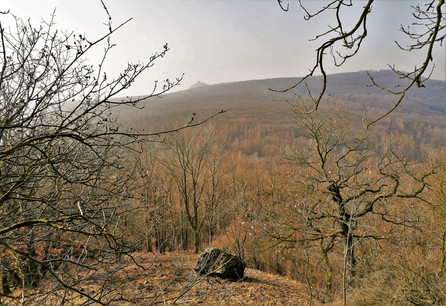 Vrch Košťál se zříceninou hradu Košťálov viditelné z vrchu Ovčín