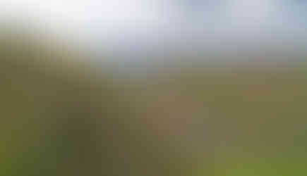 Pohled na Portu Bohemicu směrem k Ústí nad Labem