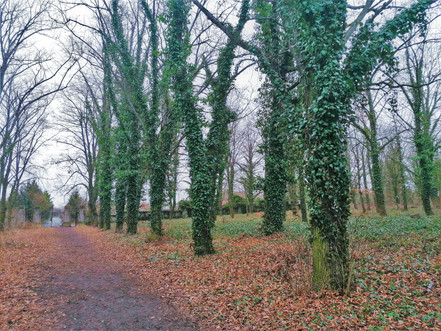 V jednom z dnes už neoznačených hrobů se nachází i pozůstatky sarajevského atentátníka Gavrilo Principa