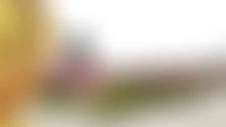 Jedna z nejkrásnějších pražských zahrad - u Trojského zámečku