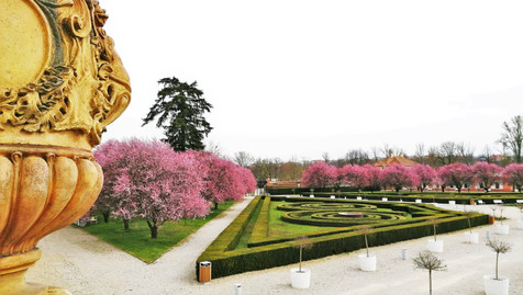 Jedna z nejkrásnějších pražských zahrad - u Trojského zámečku