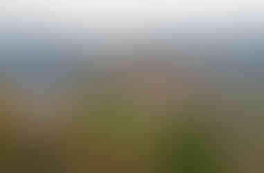 Výhled na Berounku v Jílovišti