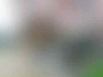 Detail schodiště na libochovickém zámku