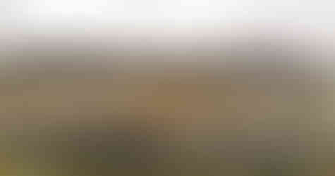 Dvojvrchol Chožovské hory; vpravo samotná Chožovská hora, vlevo vrchol kopce Peklo