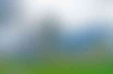 Pohled na baziliku svatých Petra a Pavla z lokality knížecí a královské akropole na Vyšehradě