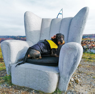 Poutníkův trůn nad Kytínem začala po zásluze hned po příchodu z dvacetikilometrové túry okupovat moje malá jezevčice Květa