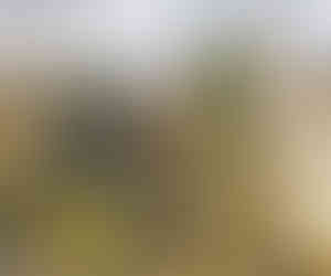 Ukázka velmi zdařilých secesních náhrobků na Olšanských hřbitovech v Praze