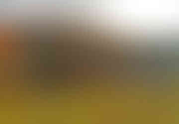 K Mníšku pod Brdy přiléhají tři rybníky, toto je jeden z nich s názvem Prostřední