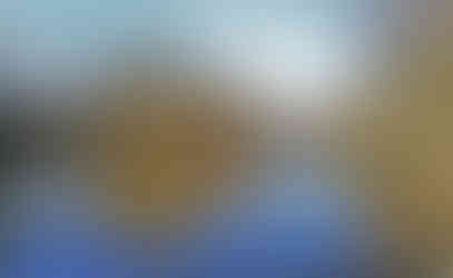 Nejjižnější část Hostivařské přehrady na Botiči má mokřadní charakter