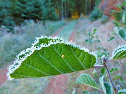 Krása podzimního rána u zámečku Tři Trubky