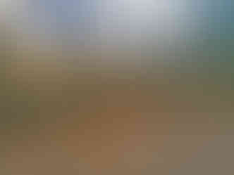 Typická habřina v lokalitě Přírodní rezervace Šance