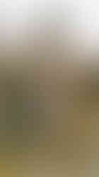 Hrob malíře Julia Mařáka na pražském Vyšehradě