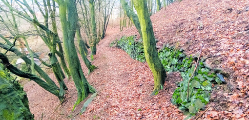 Staré cesty v Krupce mají často romantický nádech