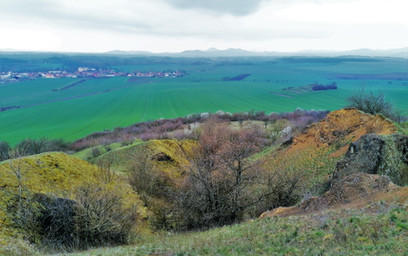 Vydlabané svahy hory Rohatec jsou důkazem bývalé lomové činnosti na temeni i vršku hory