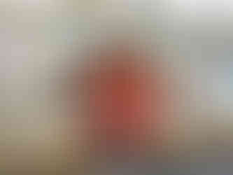 Měšťanský pivovar v Litoměřicích