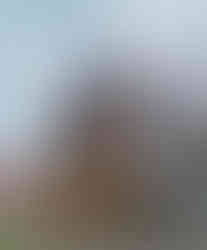 Z původních zvonů ze zvonice u kostela svatého Štěpána se dochoval jediný - dvouapůltunový Štěpán z konce 15. století