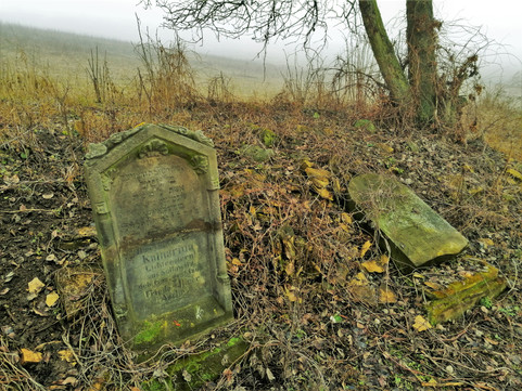 Na židovském hřbitově v Čížkovicích