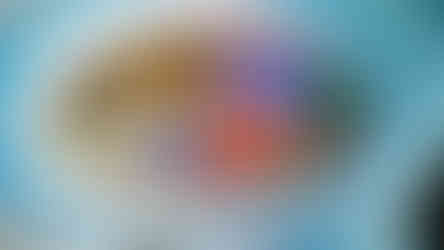 Ukázka výmalby zámeckých komnat v Libochovicích