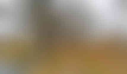 Dnes chráněné duby letní na hrázi rybníka Homolka byly vysazeny před 260 lety v době založení tohoto rybníka