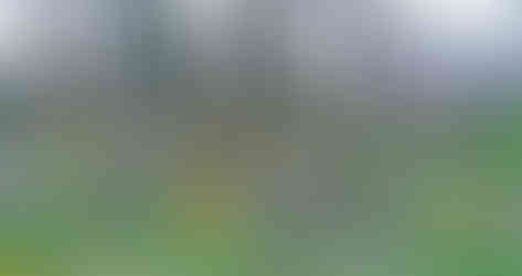 Na libochovickém židovském hřbitově najdeme zhruba 550 náhrobků