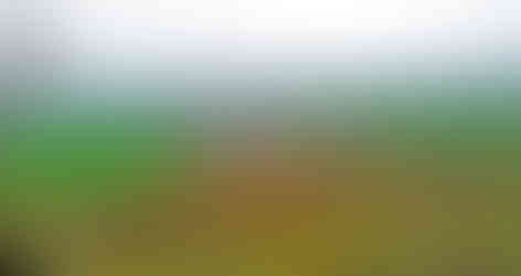 Pnětluky pod Plešivcem jsou okouzlující a klidnou severočeskou vesničkou