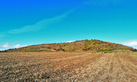 Vrch Dlouhá v Českém středohoří