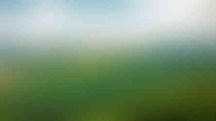 Jako žraločí ploutev vypadá z Košťálova Lipská hora a Milešovka pyšně ční nad okolní vrchy , a to i přes to, že je zakrývá i v létě mírný opar