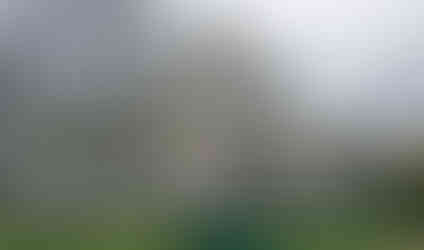 Dominantou Podolské vodárny jsou kromě 45 metrů vysoké věže také pískovcové sochy Vltavy a jejich přítoků