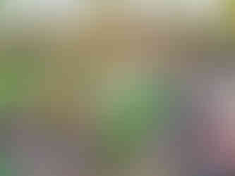 Typický obraz pro PP Dobříňský háj; na konci zimy tu vykvétají koberce něžných květinek Sněženky podsněžníku