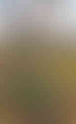 Místo posledního odpočinku Václava Klimenta Klicpery na pražských Olšanech