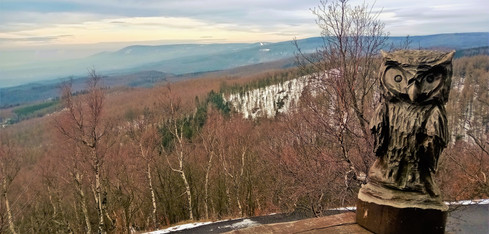 Při pohledu na vrcholky Krušných hor ze Sedmihůrské vyhlídky máte celou dobu společníka