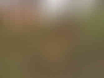 Křížová cesta v Modřanech