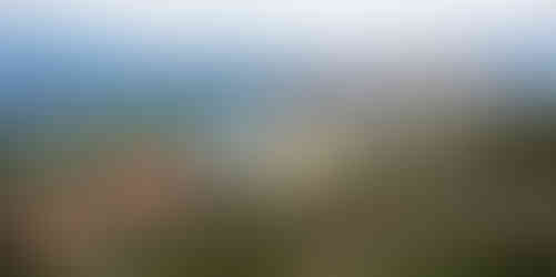 Pohled ze zříceniny Baba na centrum Prahy