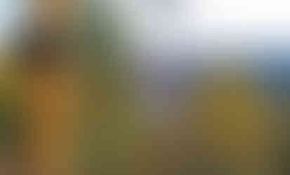 Vltava z vyhlídky Stříbrník