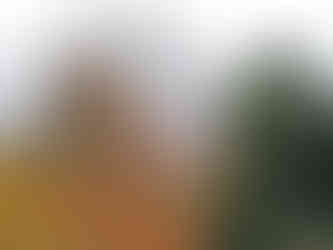 Samotné skalní výstupy Černolických skal tvoří velmi pevné a tvrdé ordovické křemeny