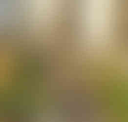 Pomník během fašismu a komunismu umučených kněží na pražském Vyšehradě