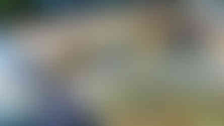 Mráz si hraje se stébly trávy