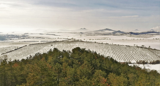 Pohled z Kuzova směrem na vrcholy Českého středohoří, kterým dominuje Raná, Oblík a Milá