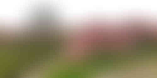 Přísné kontury zahrady Trojského zámečku