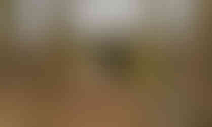 Železniční most v blízkosti lokality U Labutě je vzpomínkou na dnes už neexistující železnici spojující Krč a Nusle